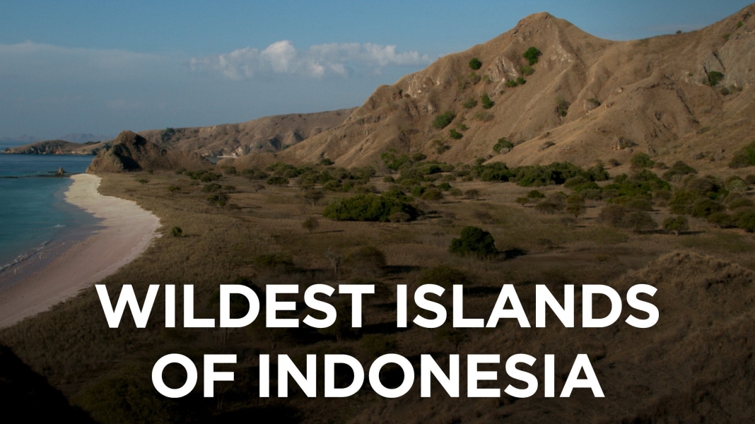 Wildest Islands of Indonesia