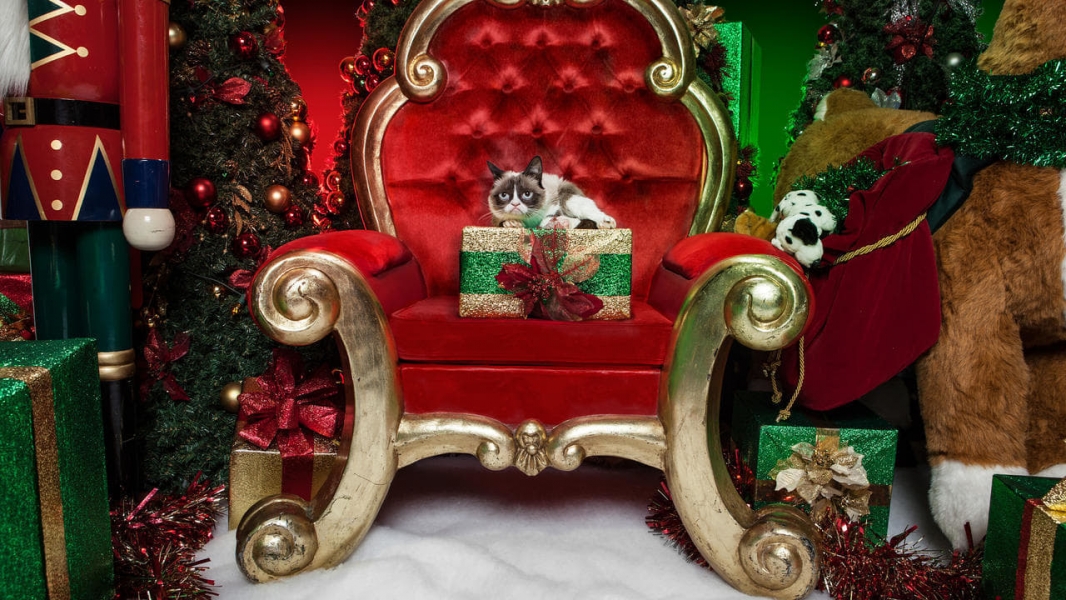 Grumpy Cat's Worst Christmas Ever